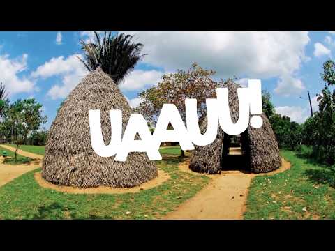 Visite Alagoas - Região dos Quilombos