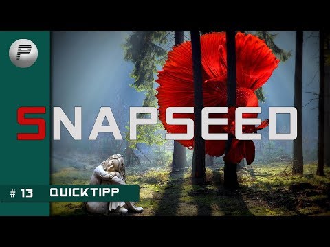 Snapseed Quicktipp | Tipp 13 Farbkontraste