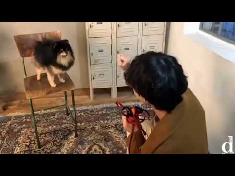 200216 Taehyung & Yeontan (Dispatch IG Update)