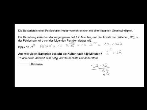 Exponentielles Modell - Textaufgabe: Bakterienwachstum