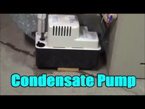 How to install/ replace a condensate pump/ little giant