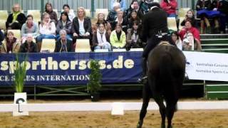Tulara Balouch PSI Jumping with the Stars 2011. Outstanding Balou Du Rouet Gelding. Won Jumping with the stars overall as a 5 year old.