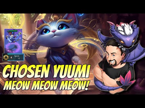 Meow Meow Meow Meeeeooowww! (4 Spirit) | TFT Fates | Teamfight Tactics