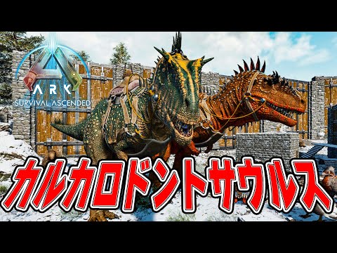 カルカロドントサウルス科 - 定義