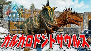 【ASA公式PvE】カルカロドントサウルス・テイム【徹底解説】