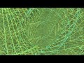 Ace Ventura  &  Lish - The Light (Bluetech Remix)