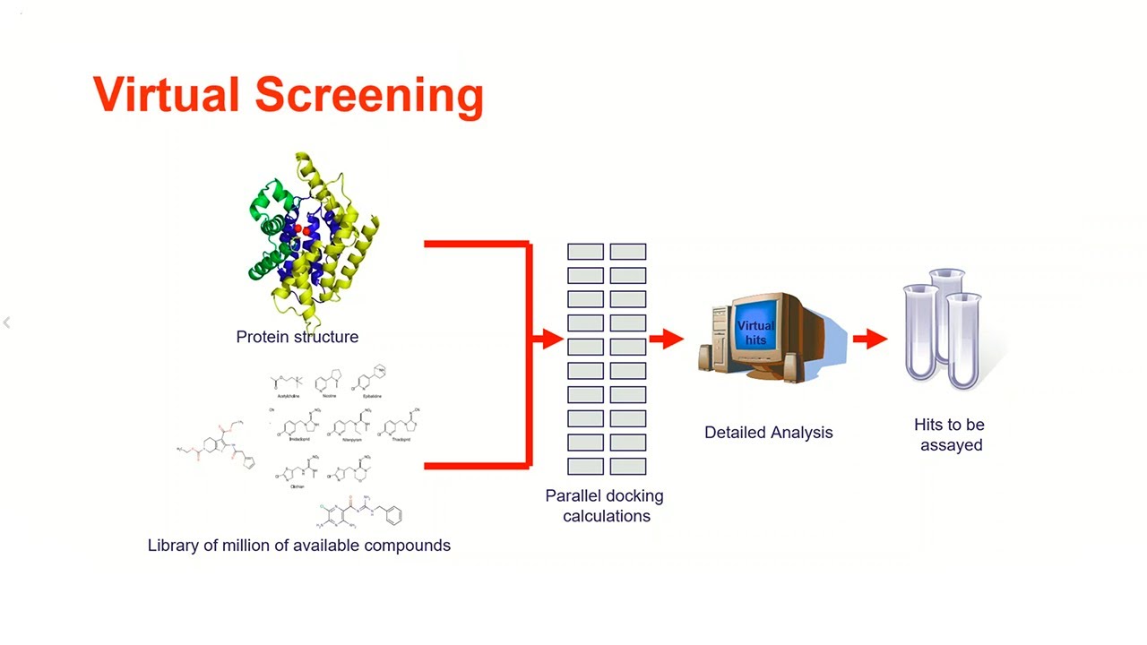 webinar recording: structure-based drug design of selective Drp1 inhibitors