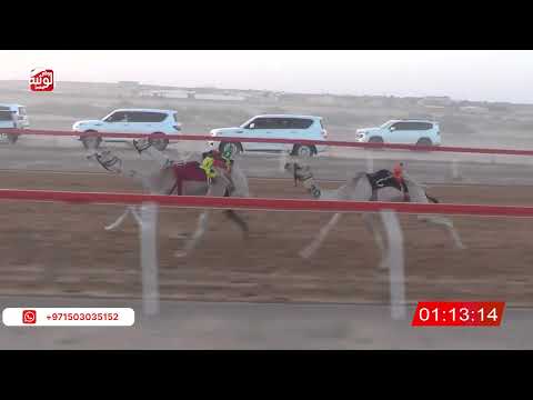  ش 4 (الشاهينيه) لـ سعيد بن حمد بالطير 2:17 ، شارة صندوق حلفه 2026/05/10 فطامين الجبيب