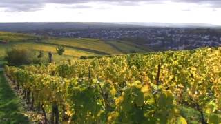 La empresa familiar Robert Weil | Hecho en Alemania