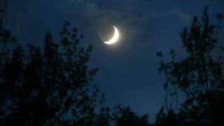 Asleep Beneath the Moon (Part 2) John Fluker