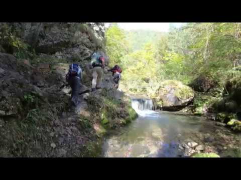 Prószéki-völgy - Kvacsányi-völgy (Kócs-hegység)