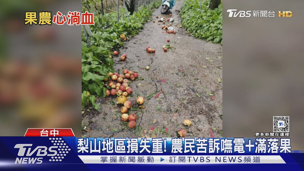 「中橫天坑」路斷 蜜蘋果落滿地 農損逾10億