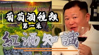 红酒知識 [ 葡萄酒種類 ] 紅葡萄酒 | 白葡萄酒之外還有的種類 | 紅酒基本知識(第一集) | 品酒 | 紅酒攻略