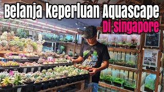 Jalan jalan ke toko Aquascape disingapore