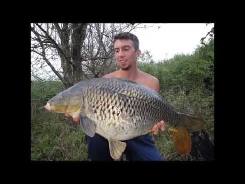 Sassaia del Fiume Po