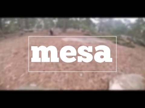 How do you spell mesa?