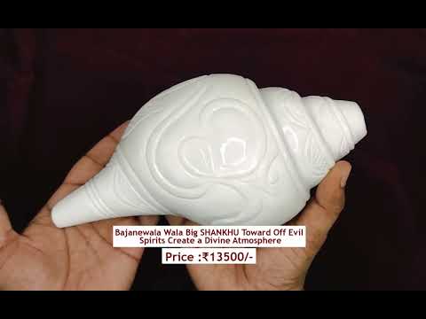 Bajanewala Wala Big SHANKHU Toward Off Evil Spirits Create a Divine Atmosphere video