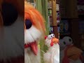 A Piece Of Cake With Barkley And Felix Sesamestreet