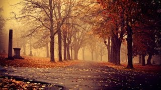 MØ - Freedom (#1) Lyrics