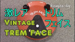 Video thumbnail for VINTAGE Trem Face 激レアエフェクター(Only Crean Sound) by ikisugita_DIY
