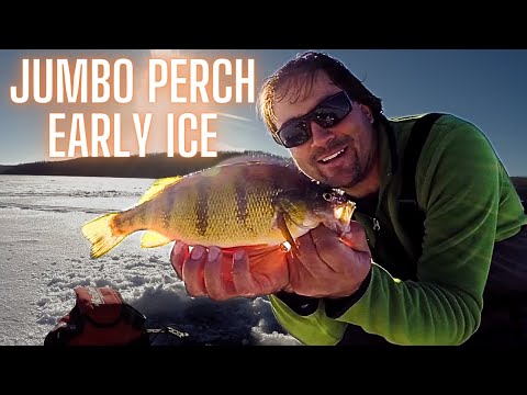How to: Early Ice Fishing Jumbo Perch