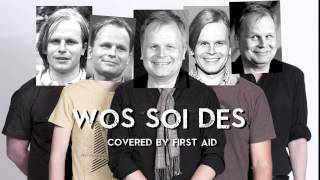 Herbert Grönemeyer - Was soll das (&quot;Wos soi des&quot; covered by First Aid)