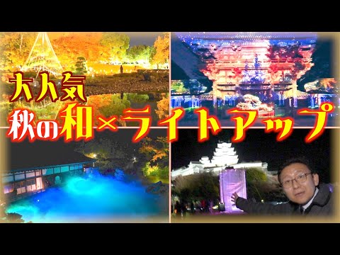 上垣皓太朗 アナウンサーが全国で楽しめる秋のライトアップおすすめスポットをリポート🎥