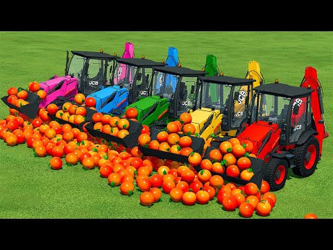LOAD AND TRANSPORT GRAPEFRUITS WITH MINI JCB LOADERS - Farming Simulator 22