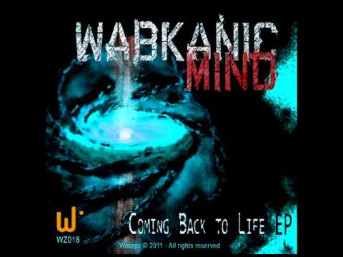 Wabkanic Mind - Over Reaction