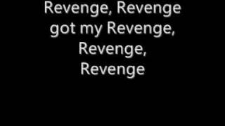 Plain White T&#39;s -  Revenge(With Lyrics)