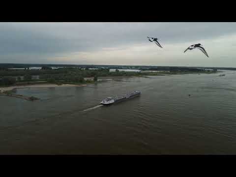 drone footage summer time de waal near Zaltbommel and haaften Gelderland  The Netherlands