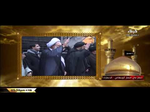 Supporters in Amsar-  Copenhagen - Denmark