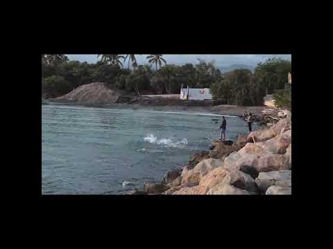 Villa del Carmen fishing club  12/abril/2026 #fishing #pesca #pescasub #lineadepesca #pez #fish 🎣