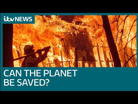 Video-Thumbnail von YouTube