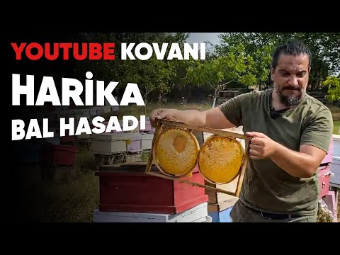 , title : 'Youtube Kovanından Muhteşem Bal Hasadı - 15.Bölüm'