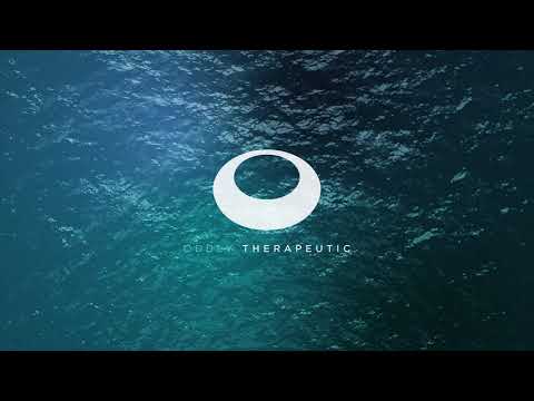 Video thumbnail for Frameworks, Pt.2