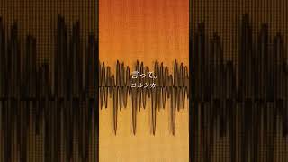 アカペラで「言って。/ヨルシカ」を歌ってみた！【白噛ましゅー】