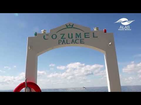 Videos del Cozumel Palace 5★ en Cozumel, MéxicoVer MásVerPrecios20CerrarConsulta por Whatsapp 🇦🇷BookingTripadvisorExpediaAgodaTravelocityOrbitzPricelineTripSkyscannerDespegarKayakHotelesBestdayDestiniaTrivagoTurismocityAlmundoLastminuteHotwireTui