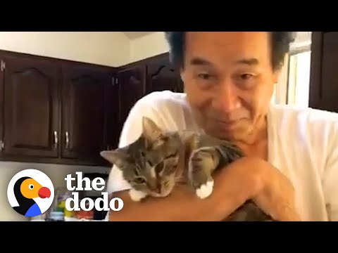 Woman’s Dad Who Didn’t Like Cats Changes His Mind Thanks To One Special Kitten | The Dodo