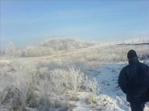 Kvartet Gubec - Ak sem ti srčeko ranil (Spoved)