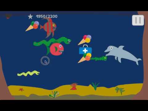 Brave Dolphin