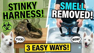 How to Remove the Stink from Dog Harnesses (3 Ways)