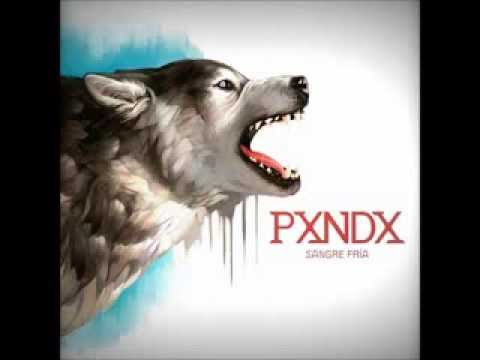 Pxndx - Usted