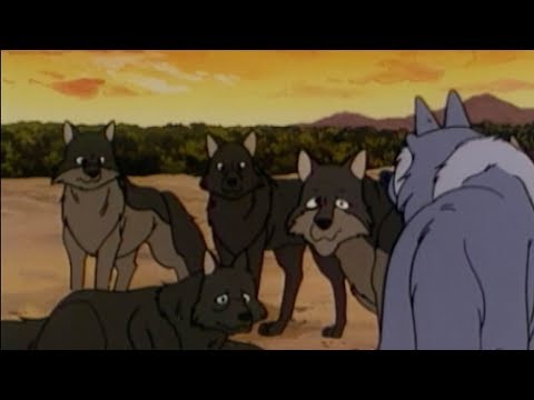 MIR V DŽUNGLI - Kniha džunglí epizoda 26 / JUNGLE BOOK - CZ