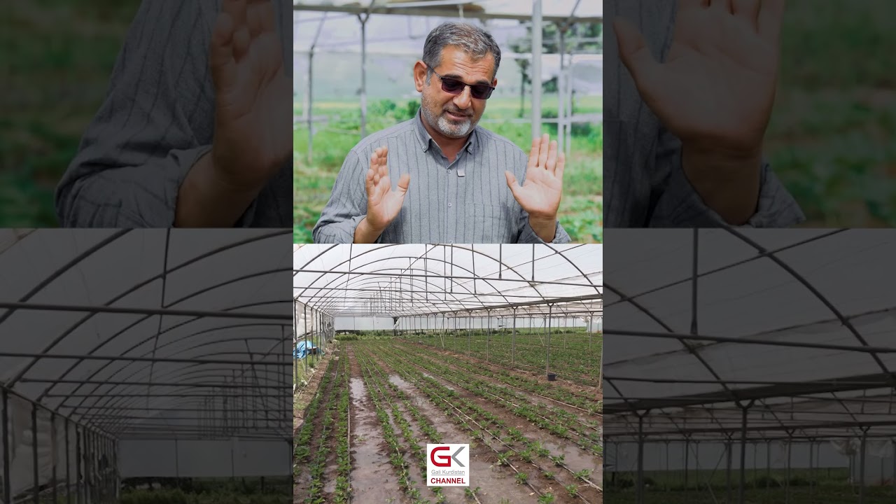 ڤیدیۆ | بۆچی خاوەنی كتێبخانەی ئەندێشە ماڵئاوایی لە كتێب كرد و رووی كردە كشتوكاڵ؟