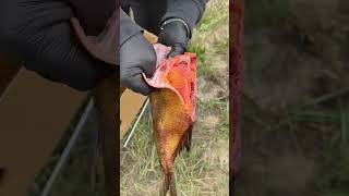 peixe defumado com ovas