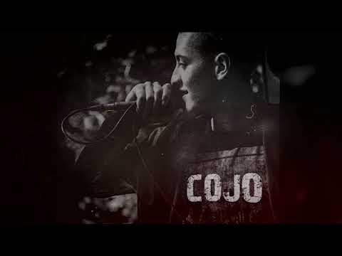 COJO - GLOBALNI PROBLEM ( 2022 )