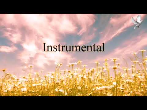 Astazi cant voios(negative) @christianmessage1514 #biblia #negative