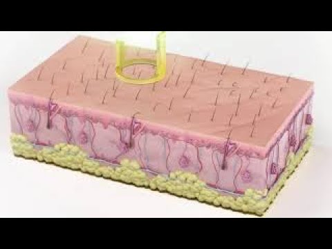 Centre Laser Murano Miniature vidéo YouTube 23