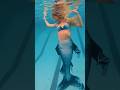 Mermaid Swim Mermaid Mertailor Ariel Underwater